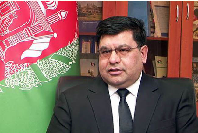 Calls for Loya Jirga Contravenes the Law: ARG